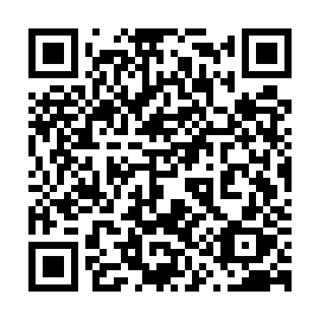 QR code for plate 617-EZX