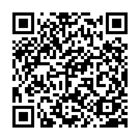 QR code for plate 619-QIQ