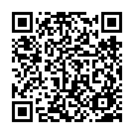 QR code for plate 637-FEG