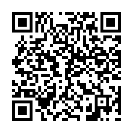 QR code for plate 638-LPT