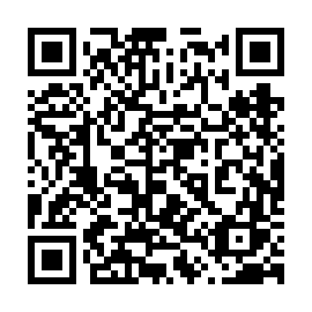 QR code for plate 640-VFS