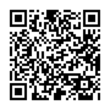 QR code for 641-PAT