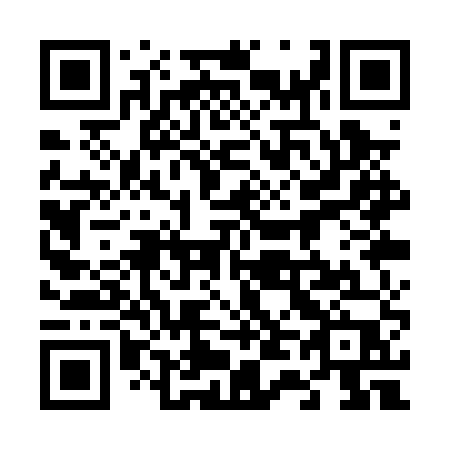 QR code for plate 641-PUP