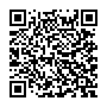 QR code for plate 646-DMC