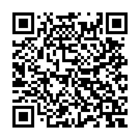 QR code for 647-DSV