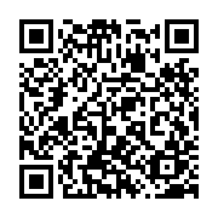 QR code for 647-LIR