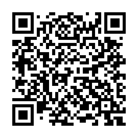 QR code for 650-DYI