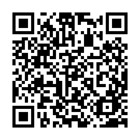 QR code for 650PUB