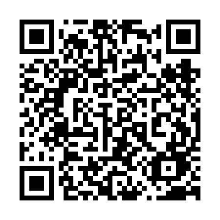 QR code for plate 651-FED