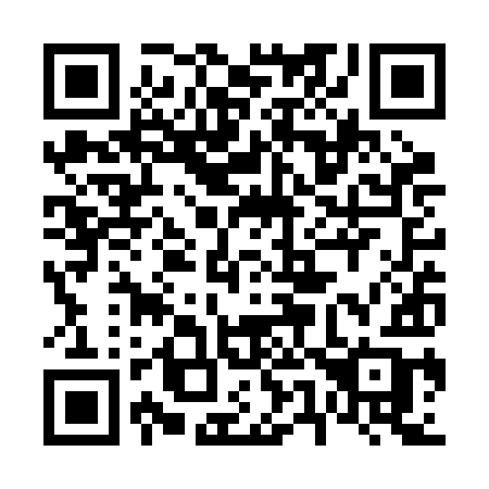 QR code for 653-RIB