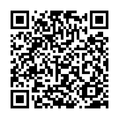 QR code for plate 653-ERP