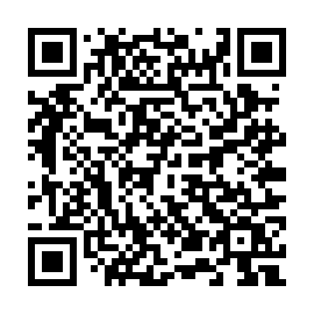 QR code for 655-POV