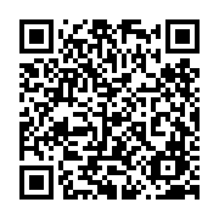 QR code for plate 656-DFN