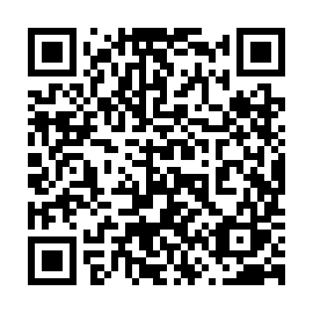 QR code for 668SIS