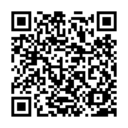 QR code for 673DIM
