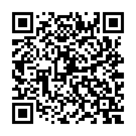 QR code for plate 687-YYS