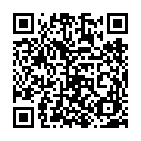 QR code for plate 689-VFL