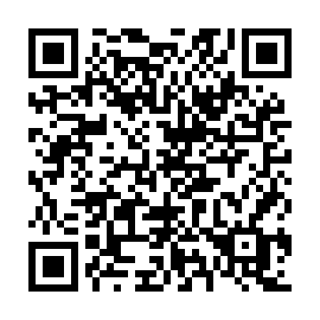 QR code for plate 691-MFF