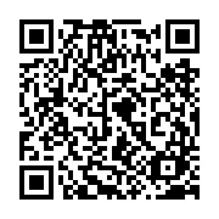 QR code for plate 699-GDM