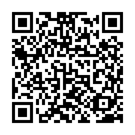 QR code for plate 6A9-1V9