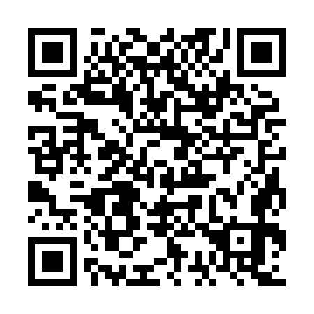 QR code for plate 6C3-8O3