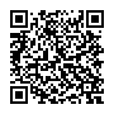 QR code for plate 6C9-0P3