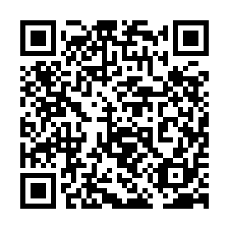 QR code for plate 6E1-9A0