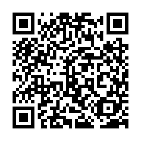 QR code for plate 6E5-3T8