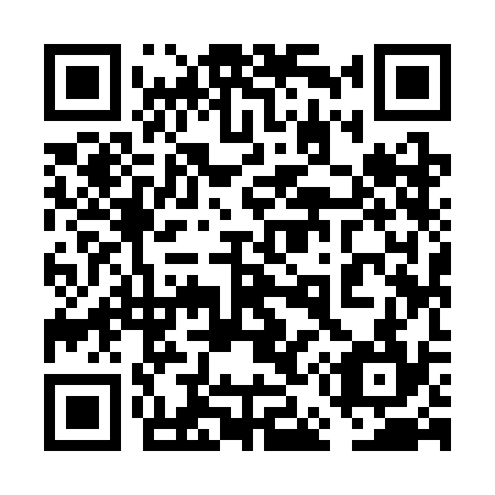 QR code for plate 6E9-3C4