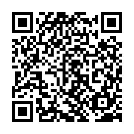 QR code for plate 6N9-1W4