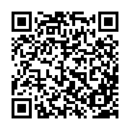 QR code for plate 6P0-1X6