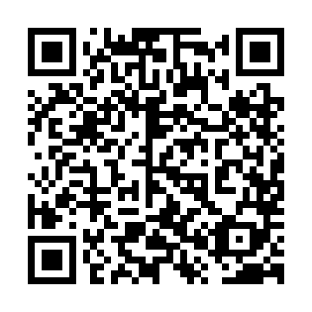 QR code for plate 6P1-3L9