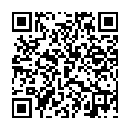 QR code for 6P17Z8