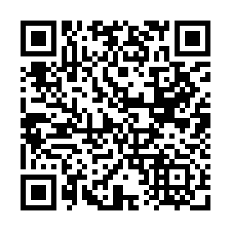 QR code for plate 6R3-9A3