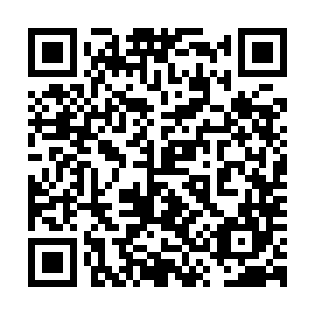 QR code for plate 6S3-9L4