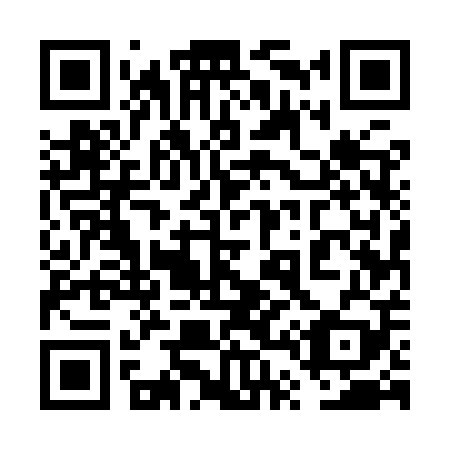 QR code for plate 6T5-9P9