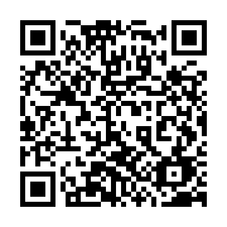 QR code for 737ISD