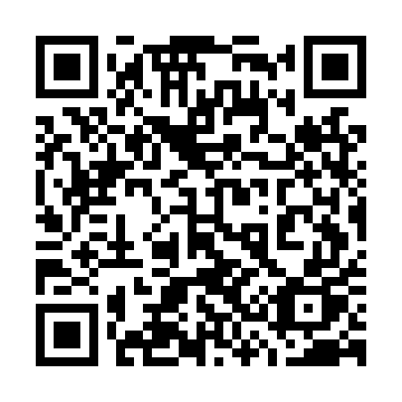 QR code for 737LUP