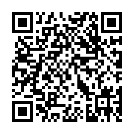 QR code for 738-ICY