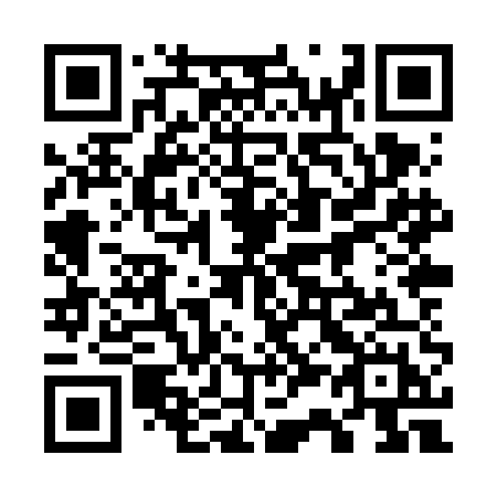 QR code for 738-VEH