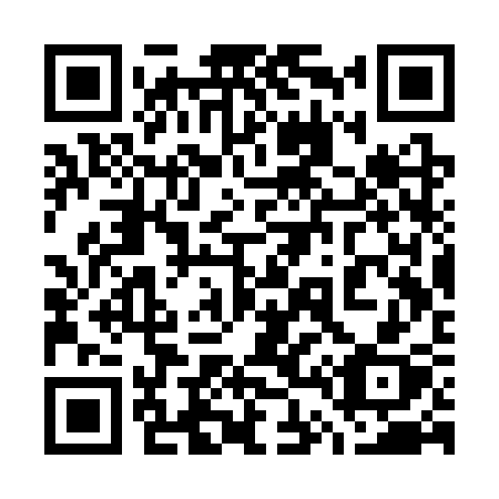 QR code for 743SSX