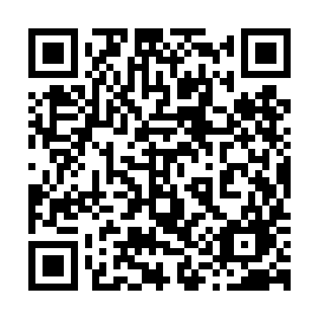 QR code for 819-TIG