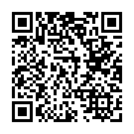 QR code for plate 838-DRL