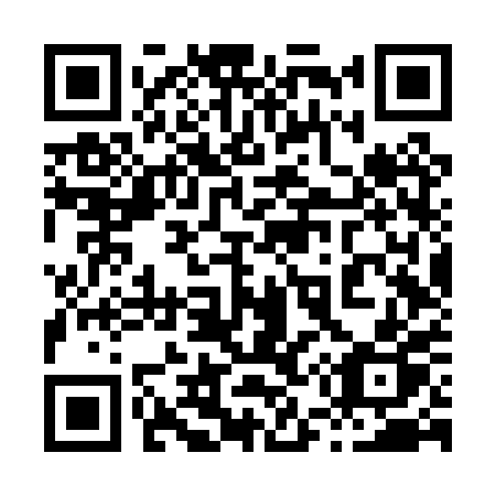 QR code for 856-PPP