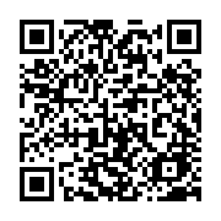 QR code for plate 856-ANE