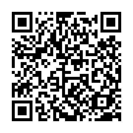 QR code for 868-DPI