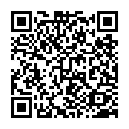 QR code for plate 894-GOY