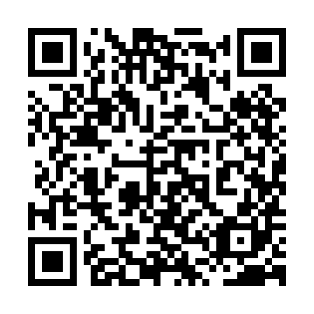 QR code for plate 8T9-0H0