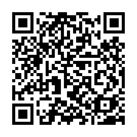 QR code for 905-DSI