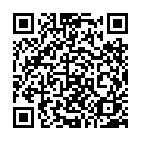 QR code for 917-SAS